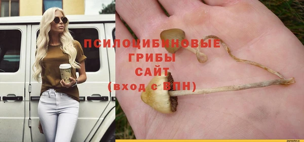 МДПВ Бутурлиновка