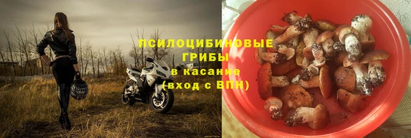 гашиш Новокубанск