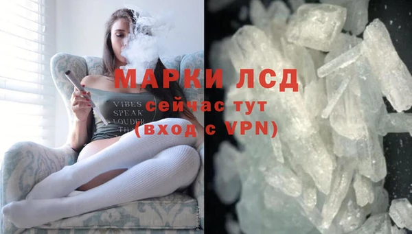 ПСИЛОЦИБИНОВЫЕ ГРИБЫ Новодвинск